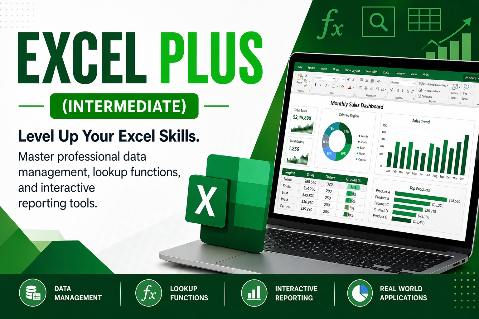 Excel Plus (Intermediate)